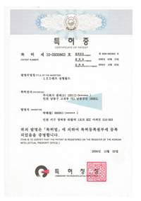 Patent Registration Certificate 2