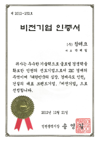 Vision Company Confirmation Certificate